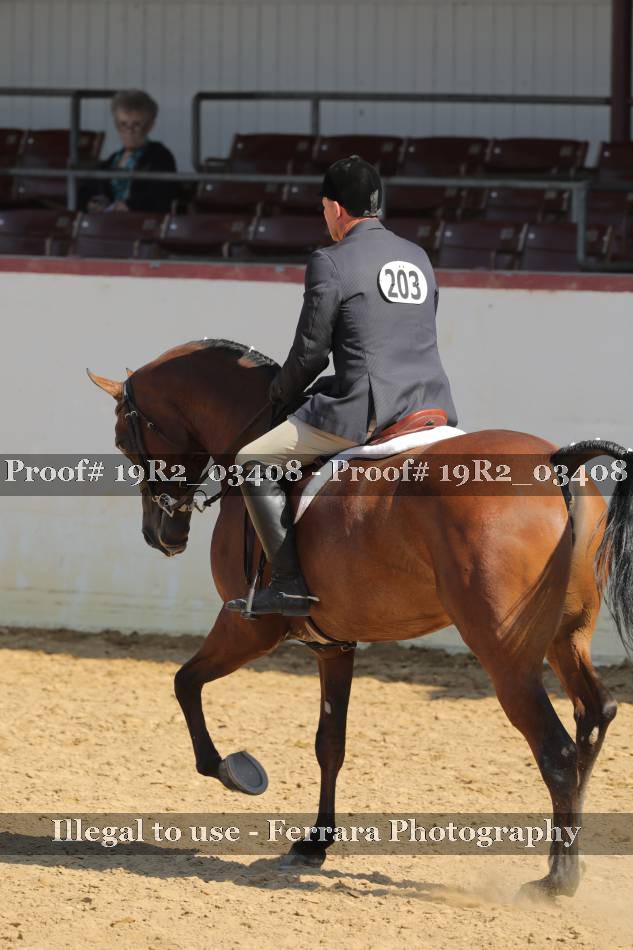 Proof 19R2_03408