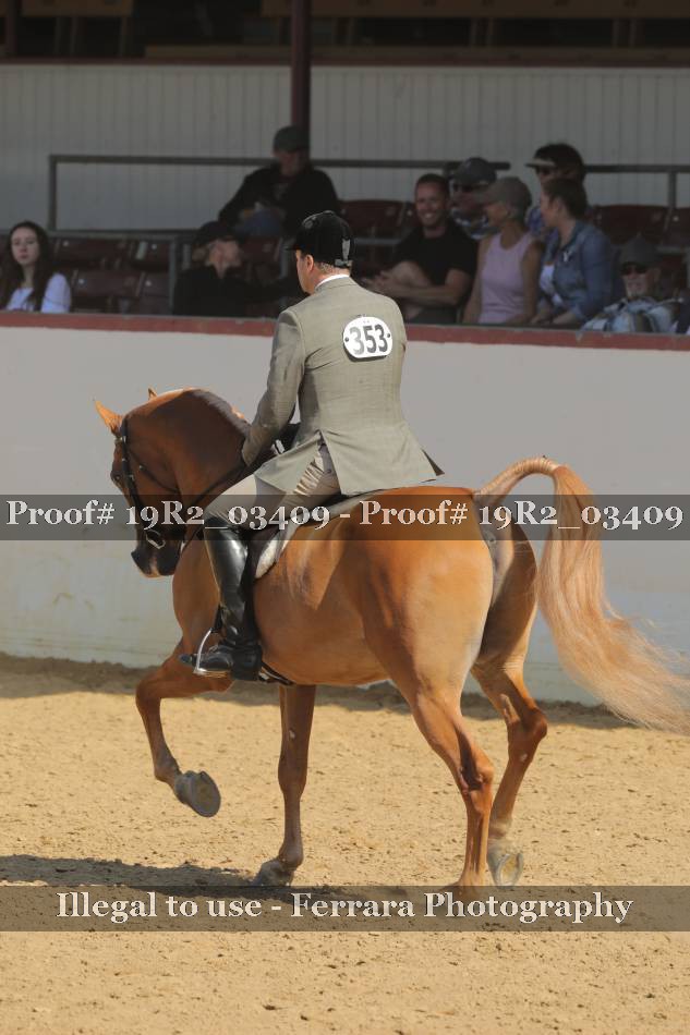 Proof 19R2_03409
