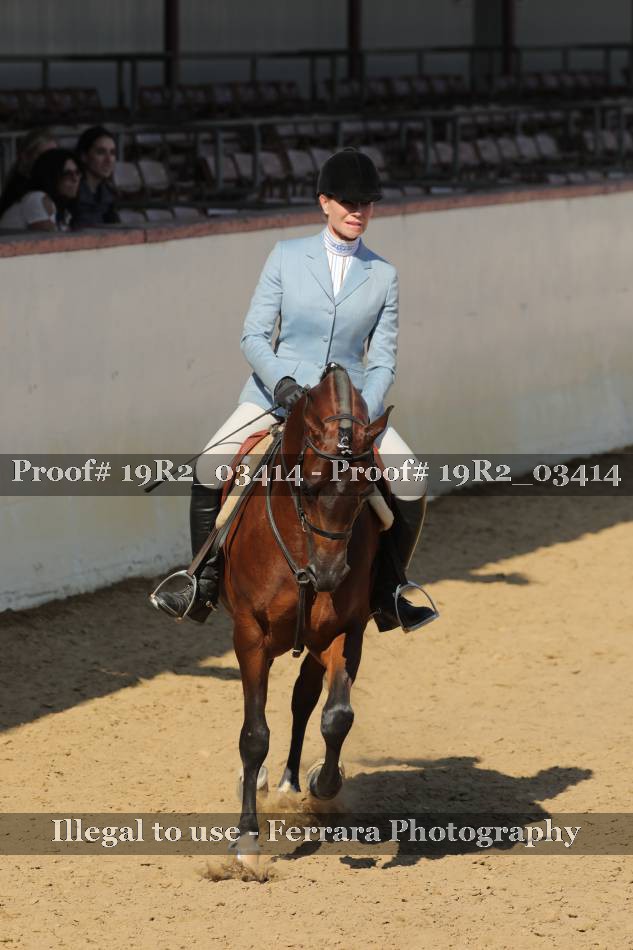 Proof 19R2_03414