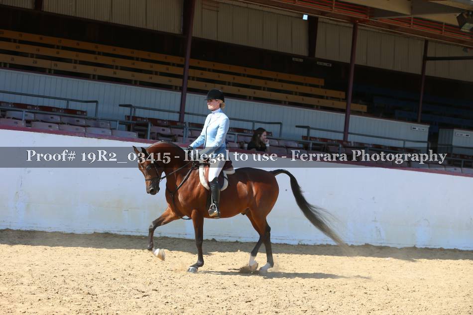 Proof 19R2_03415