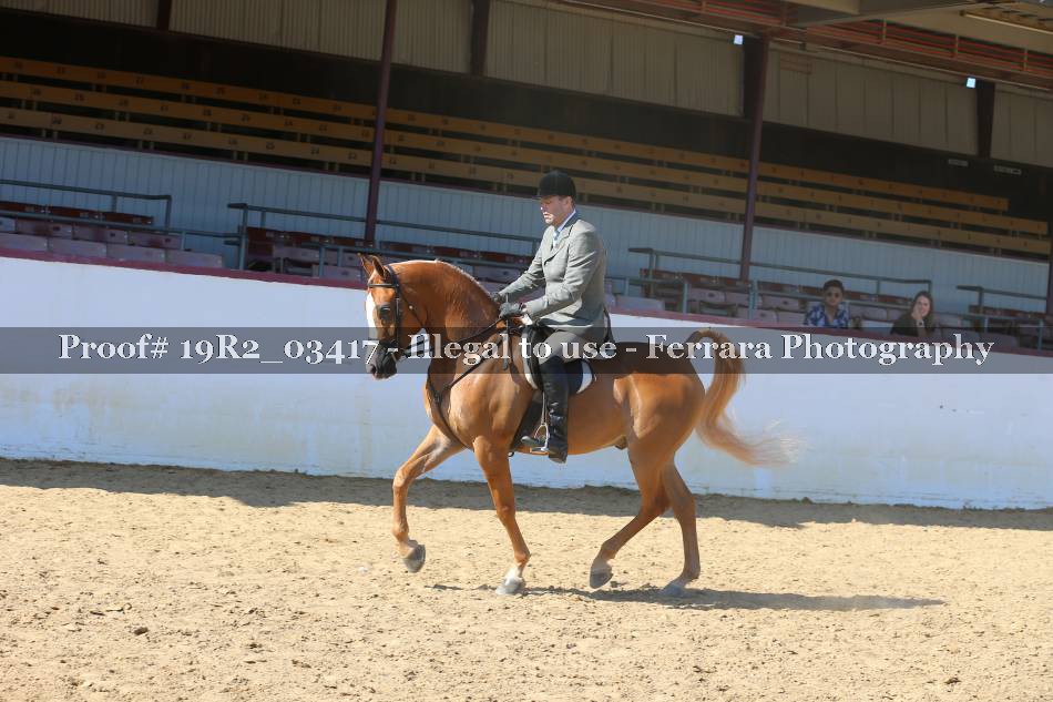 Proof 19R2_03417
