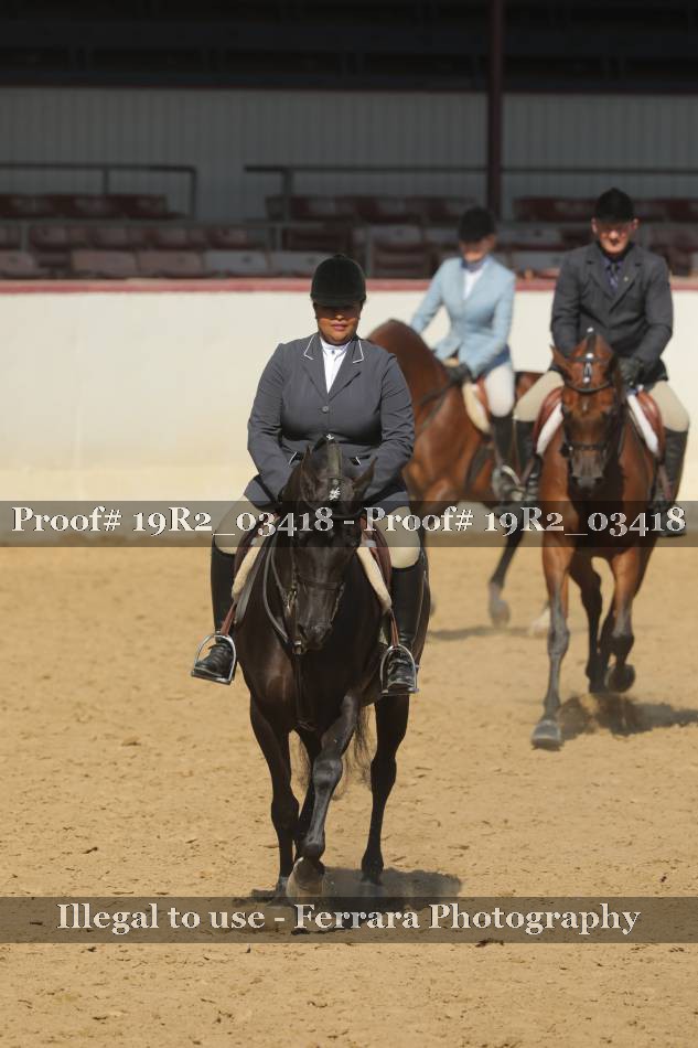 Proof 19R2_03418