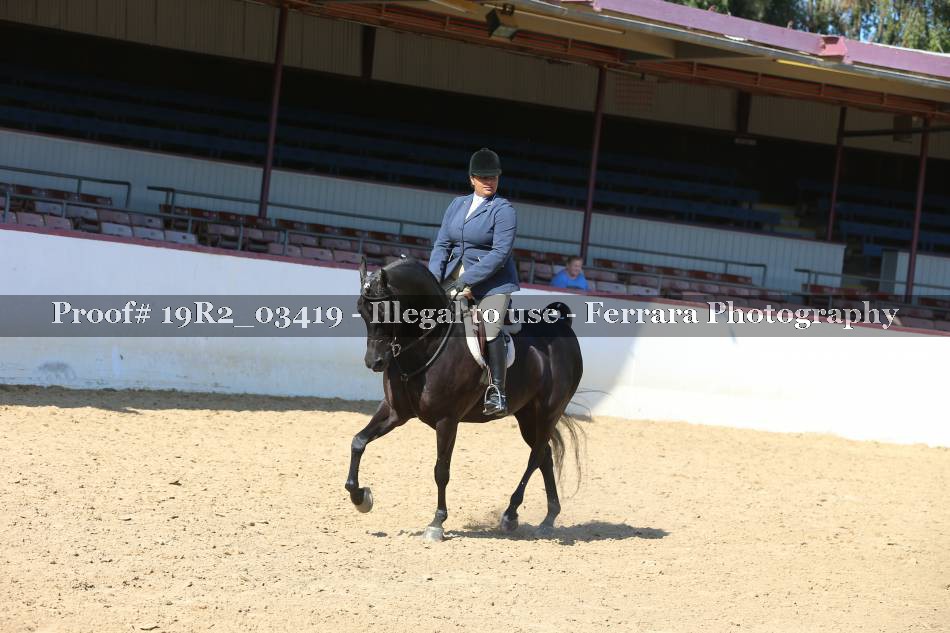Proof 19R2_03419