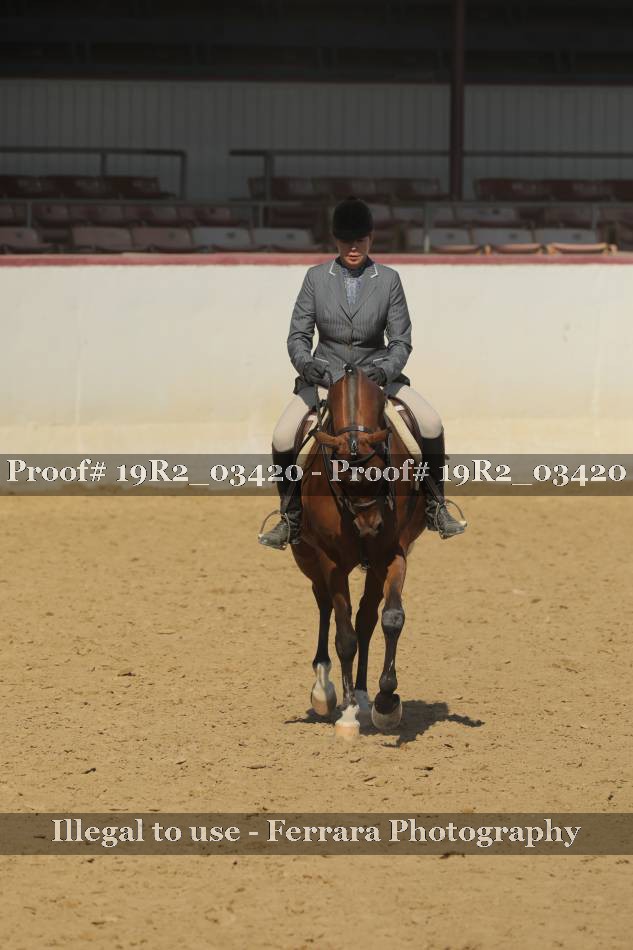 Proof 19R2_03420