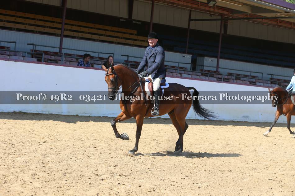 Proof 19R2_03421