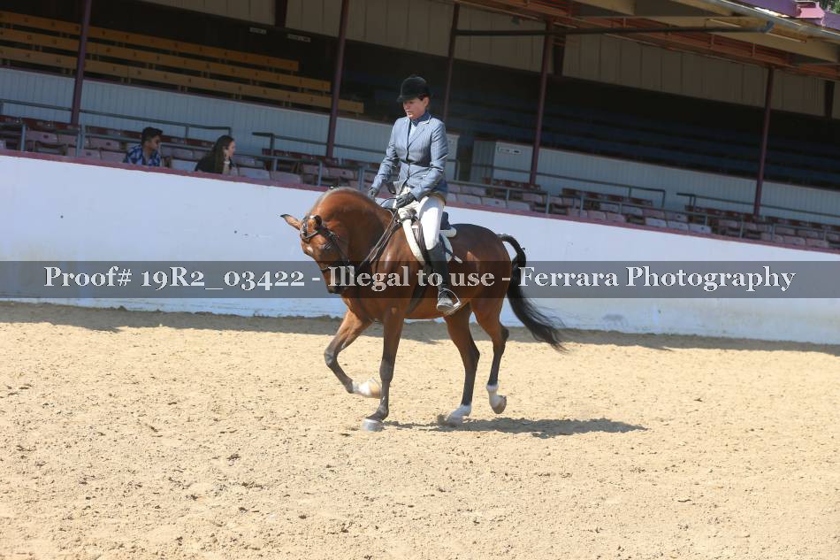 Proof 19R2_03422