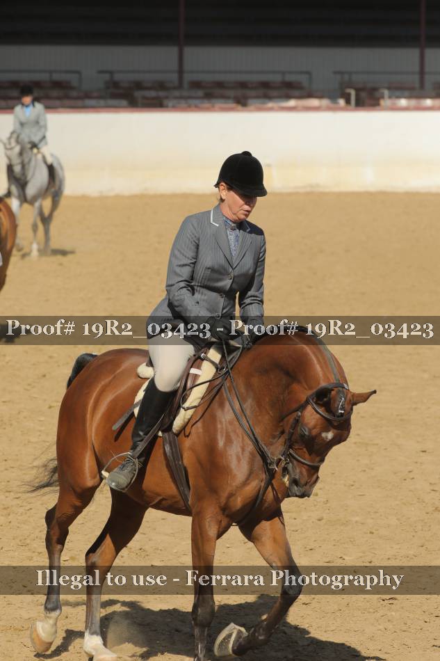 Proof 19R2_03423