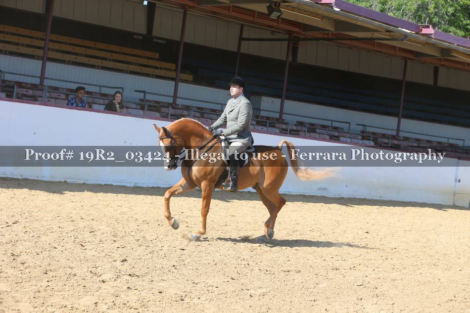 Proof 19R2_03424