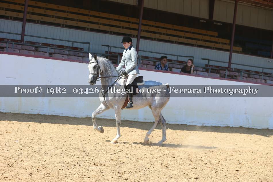 Proof 19R2_03426