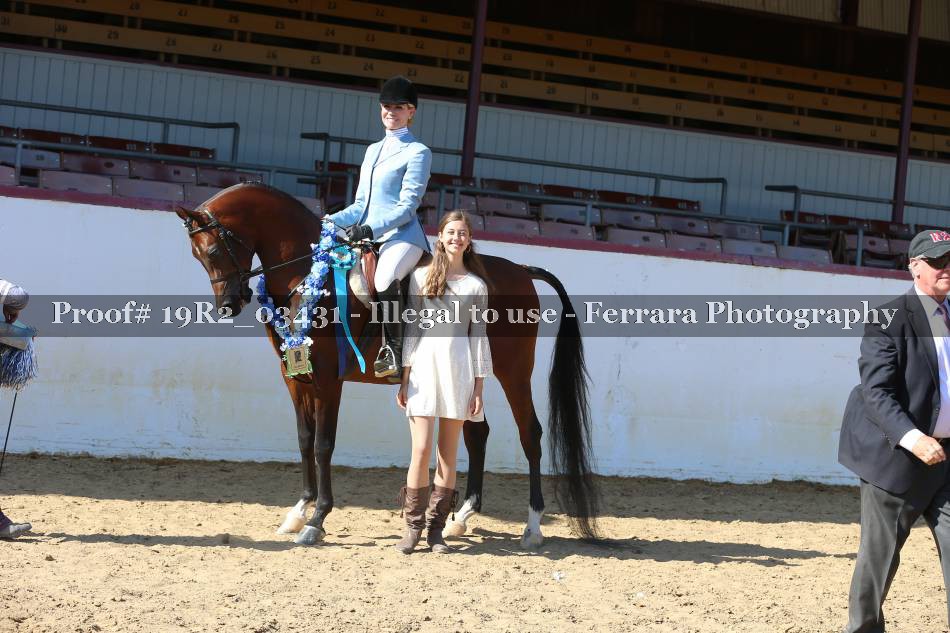 Proof 19R2_03431
