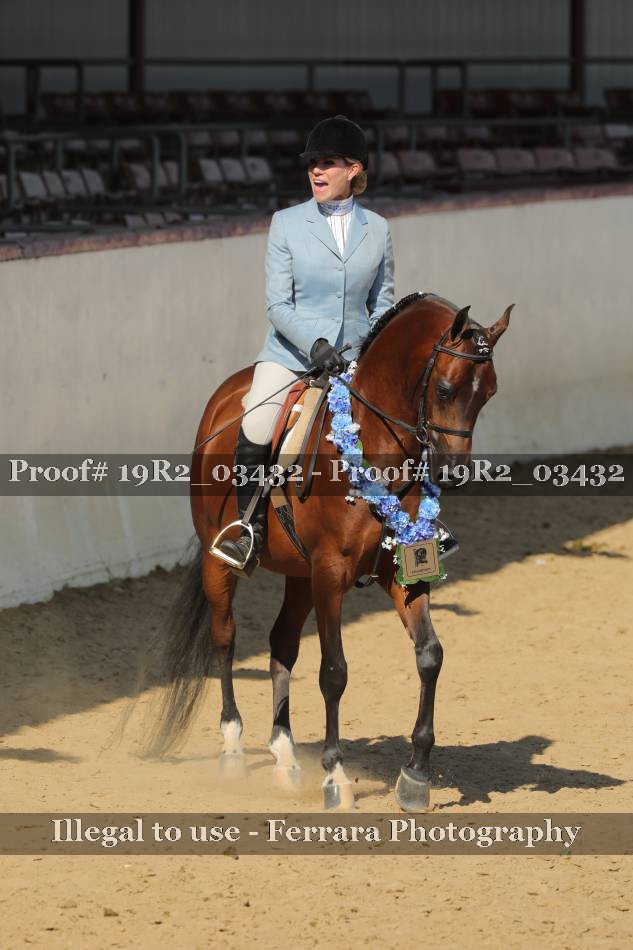 Proof 19R2_03432