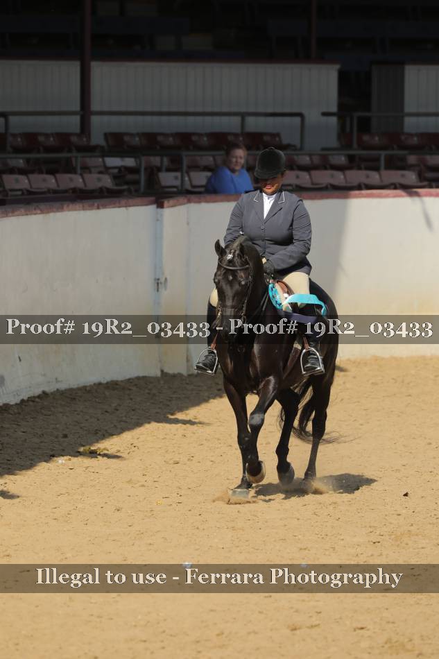 Proof 19R2_03433
