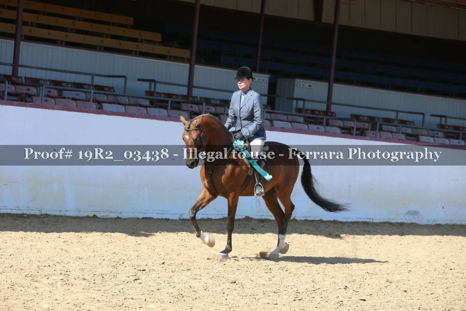 Proof 19R2_03438