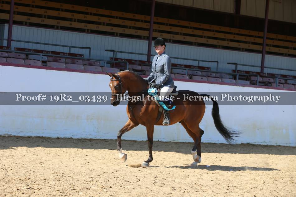 Proof 19R2_03439