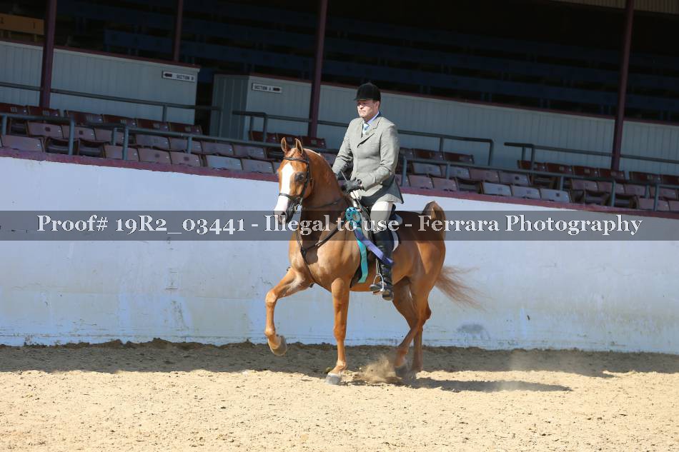Proof 19R2_03441