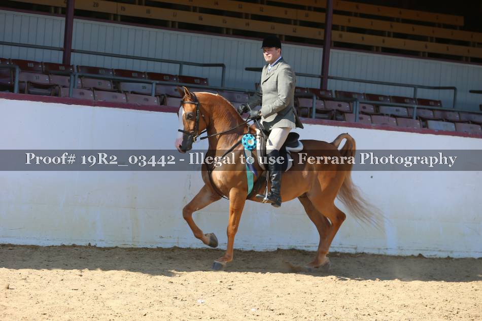 Proof 19R2_03442