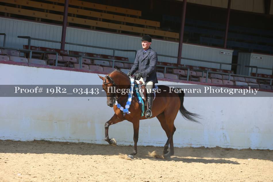 Proof 19R2_03443