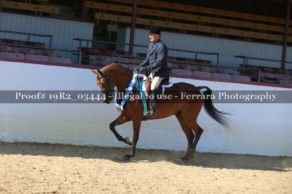 Proof 19R2_03444