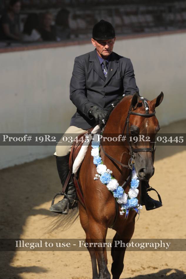 Proof 19R2_03445