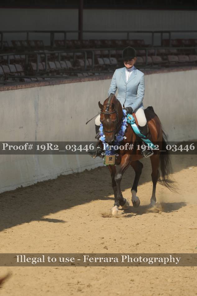 Proof 19R2_03446