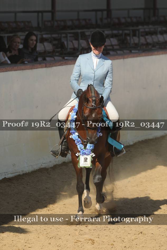 Proof 19R2_03447