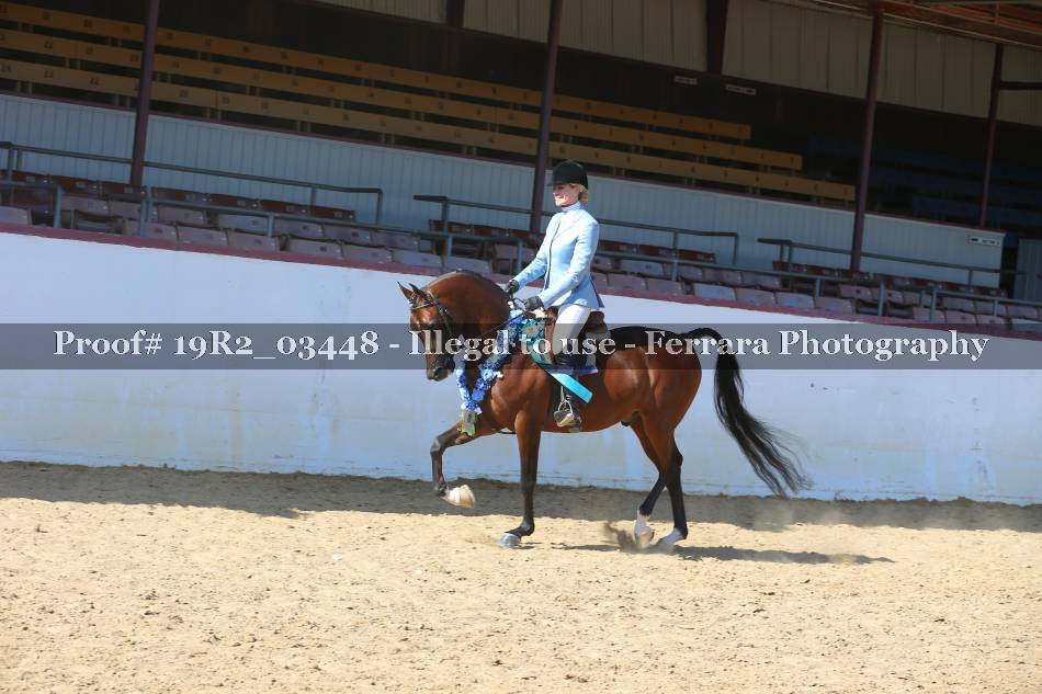 Proof 19R2_03448