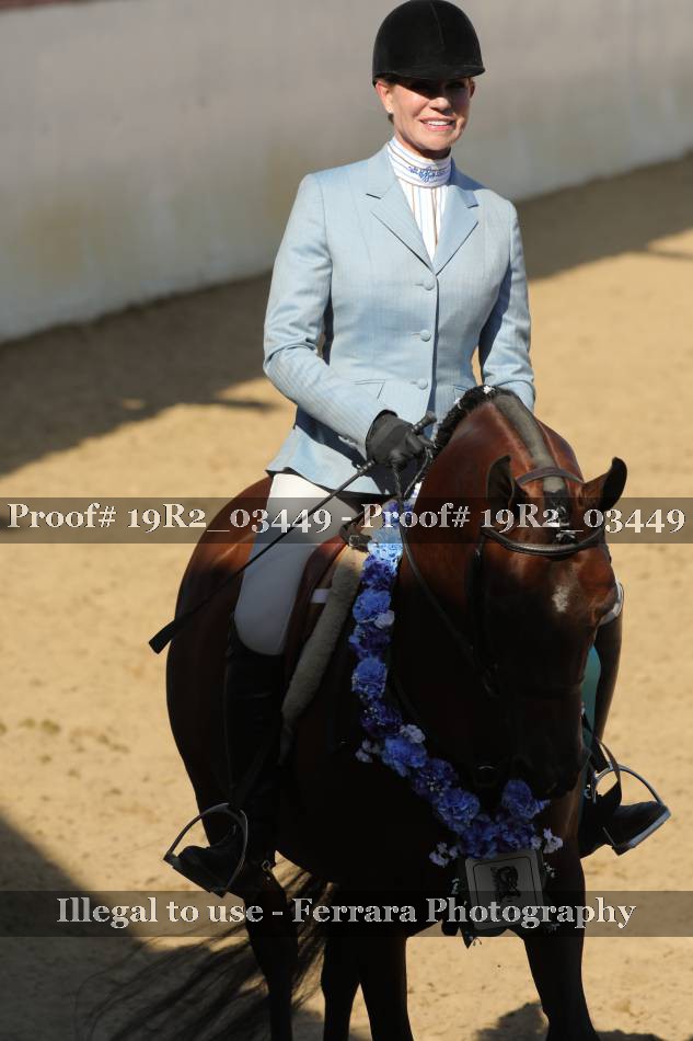 Proof 19R2_03449