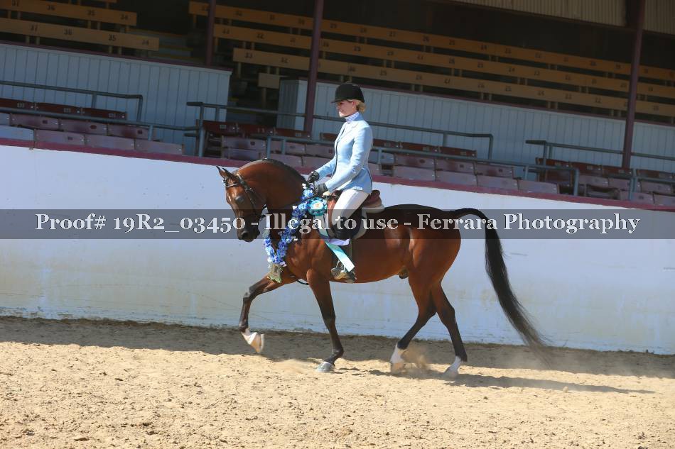 Proof 19R2_03450