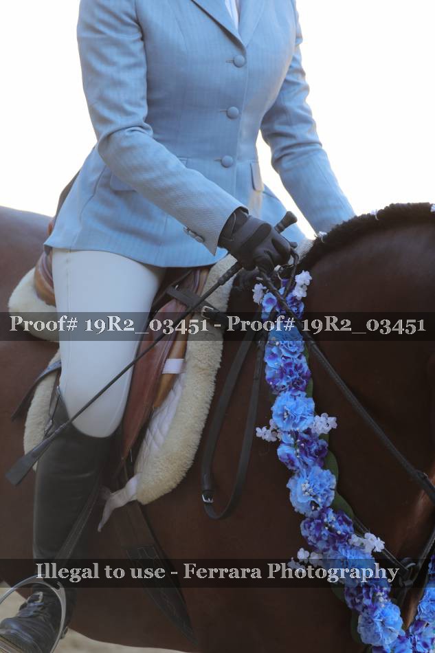 Proof 19R2_03451