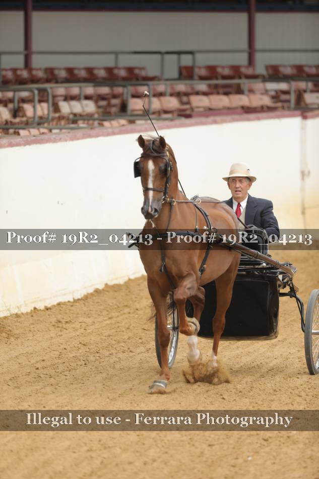 Proof 19R2_04213