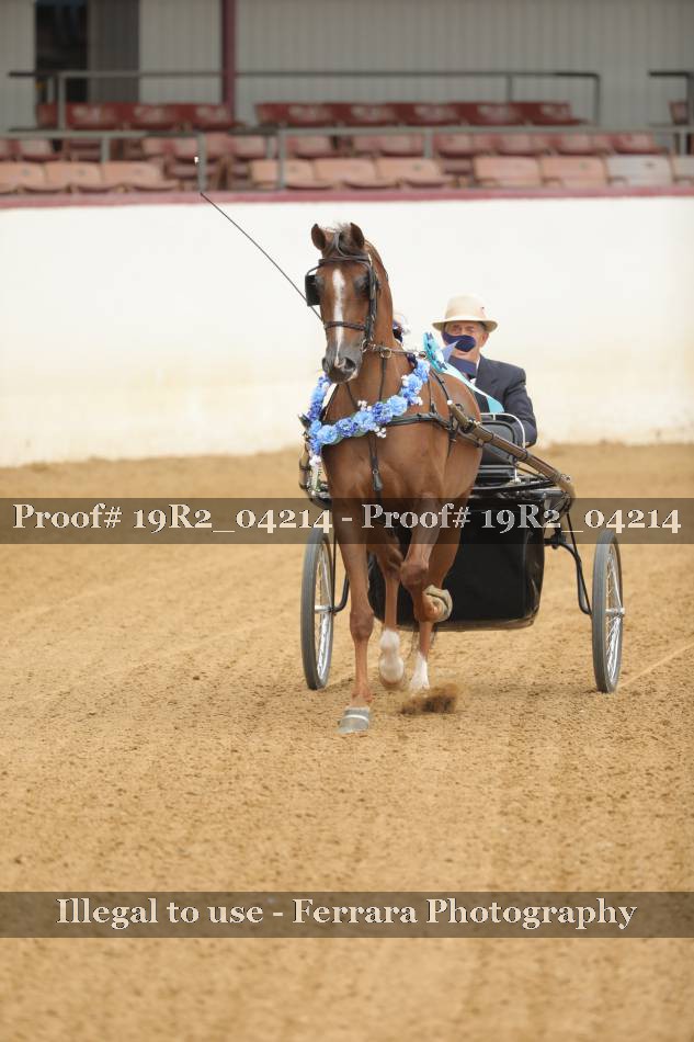 Proof 19R2_04214