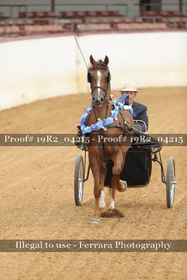 Proof 19R2_04215
