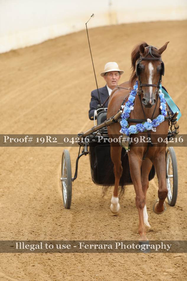 Proof 19R2_04216