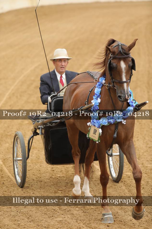 Proof 19R2_04218