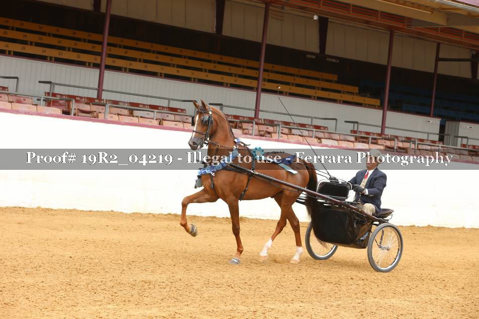 Proof 19R2_04219