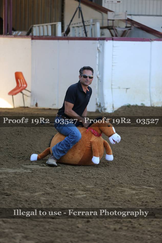 Proof 19R2_03527