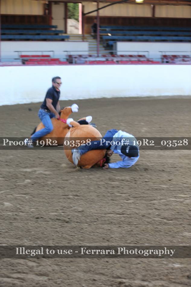 Proof 19R2_03528