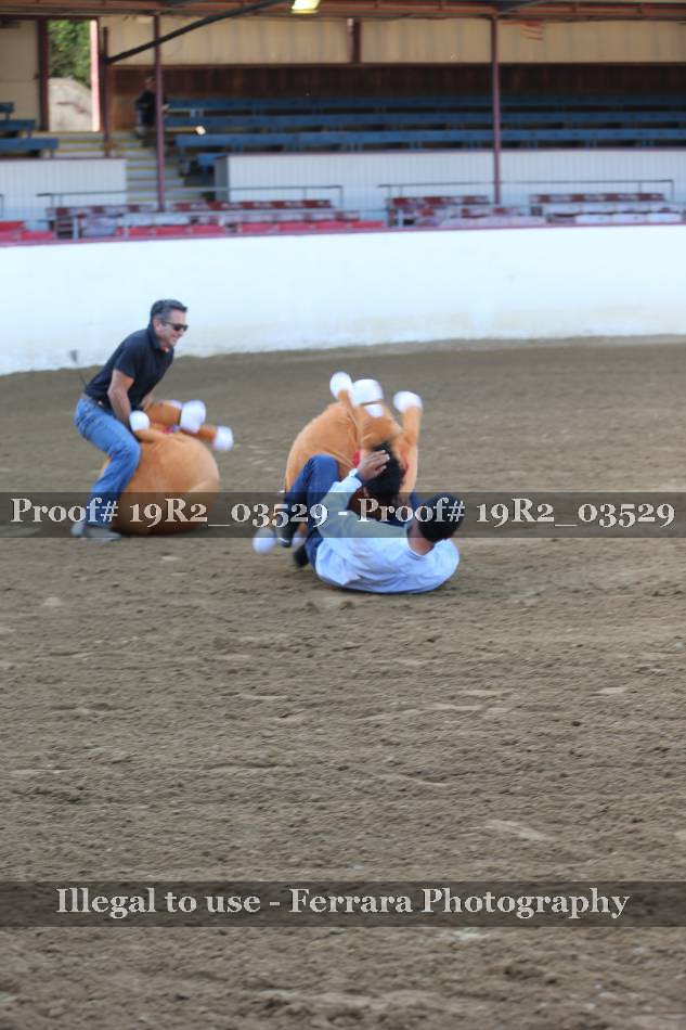 Proof 19R2_03529