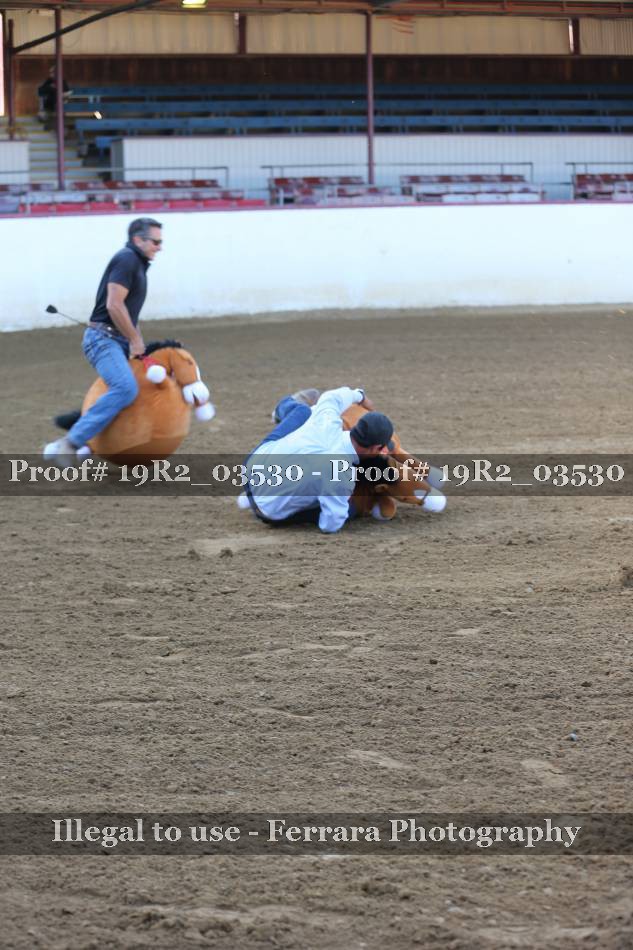 Proof 19R2_03530