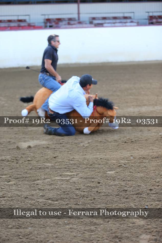 Proof 19R2_03531