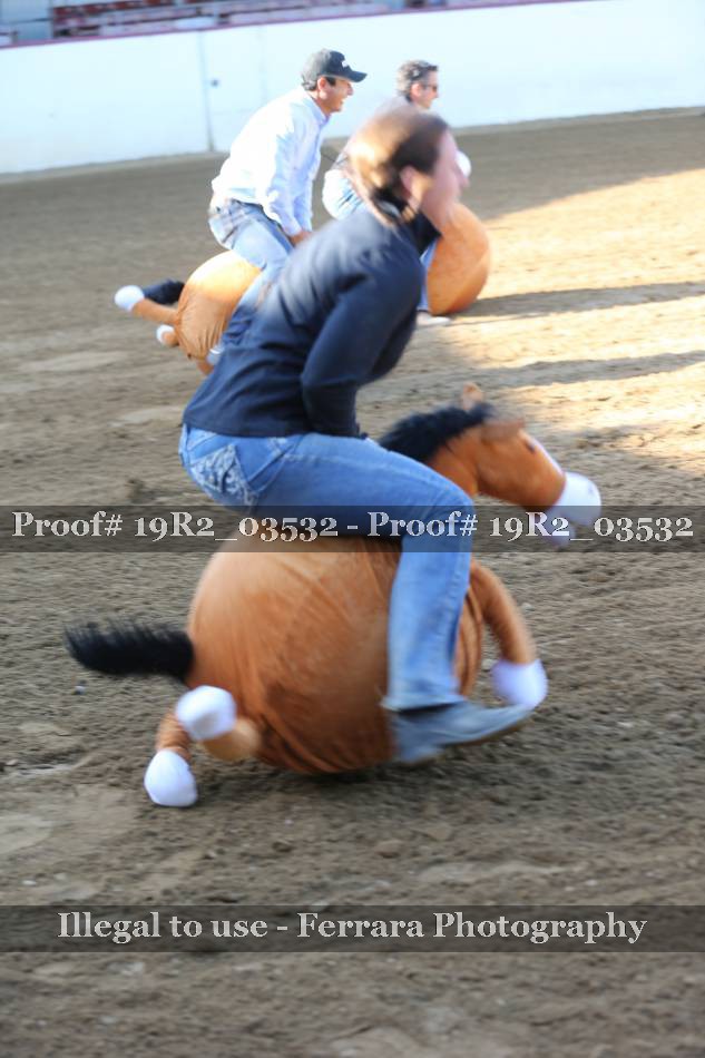 Proof 19R2_03532