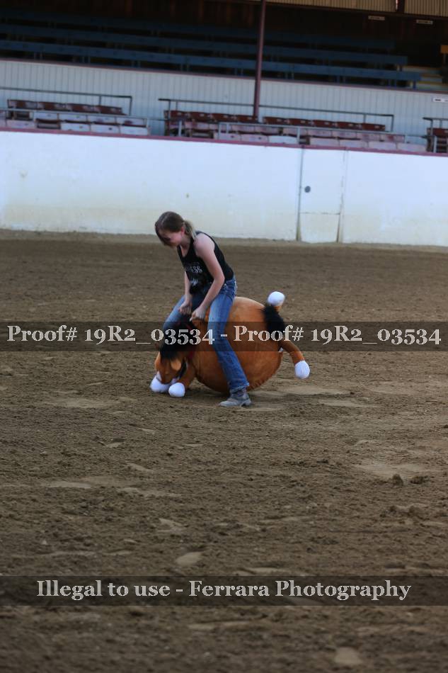 Proof 19R2_03534
