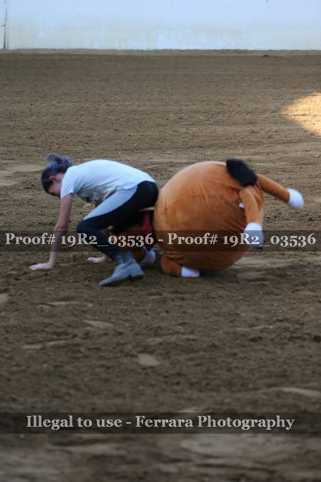 Proof 19R2_03536