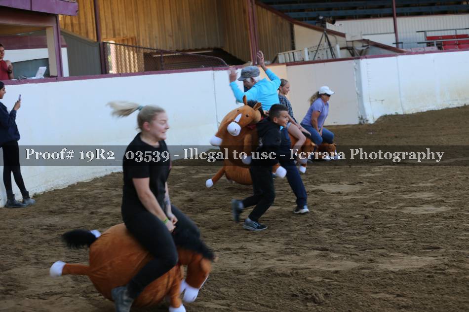Proof 19R2_03539