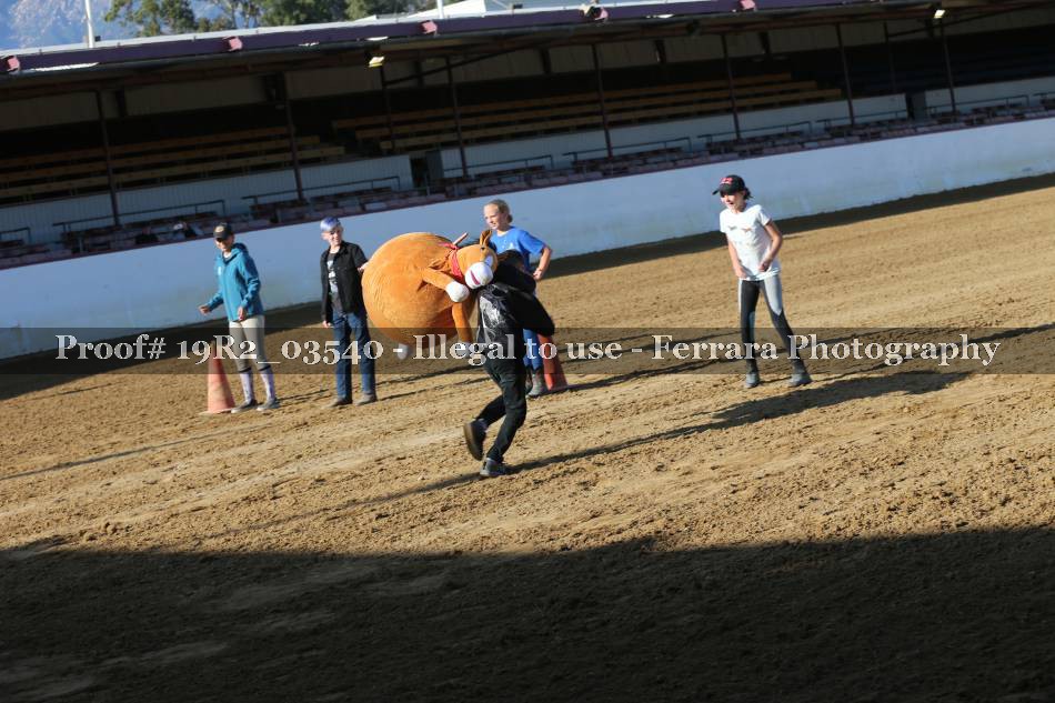 Proof 19R2_03540