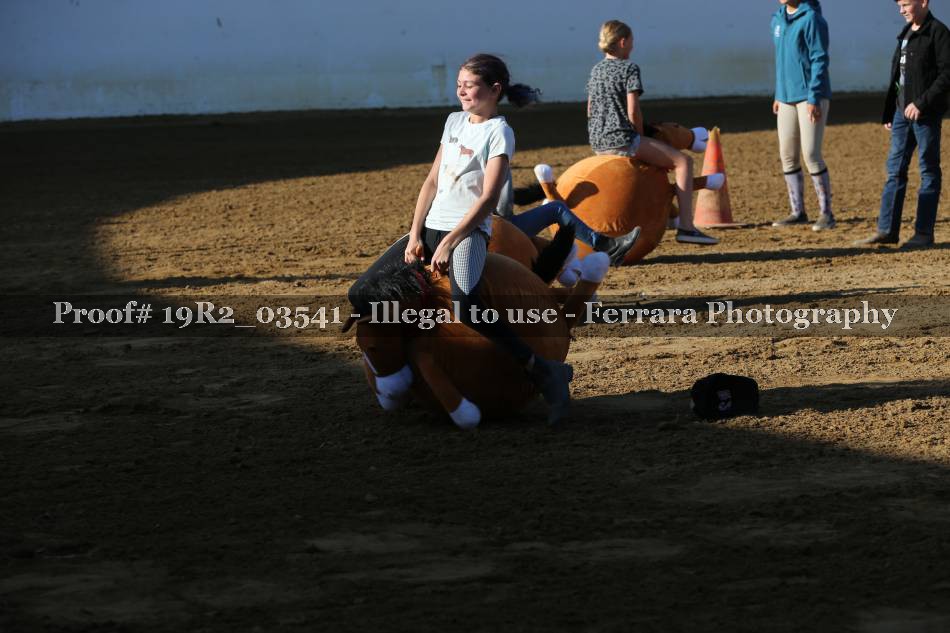Proof 19R2_03541