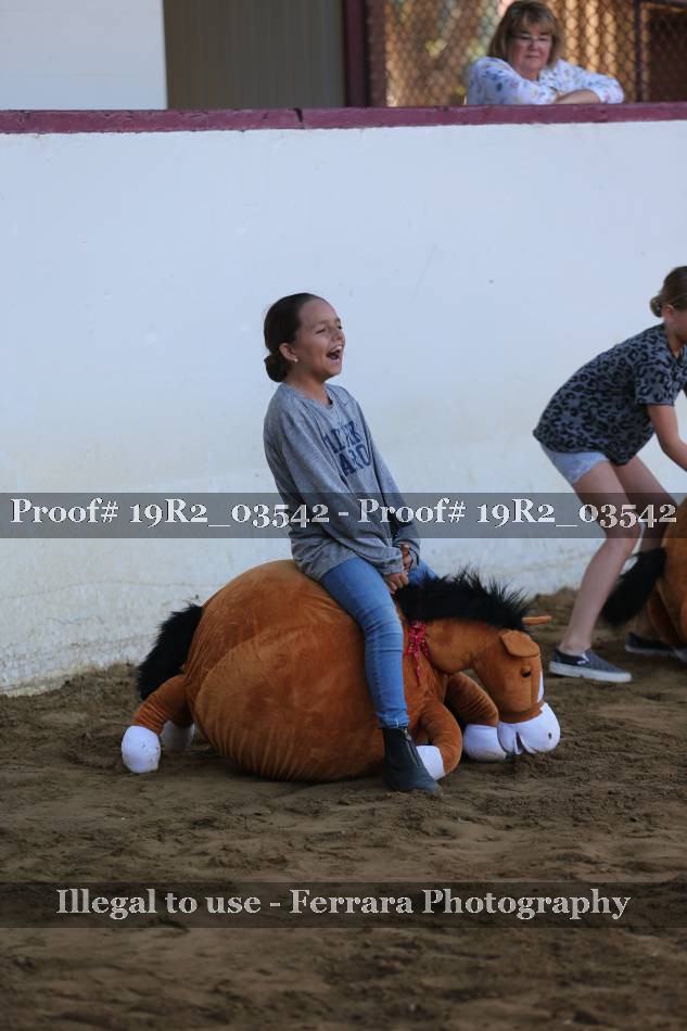Proof 19R2_03542