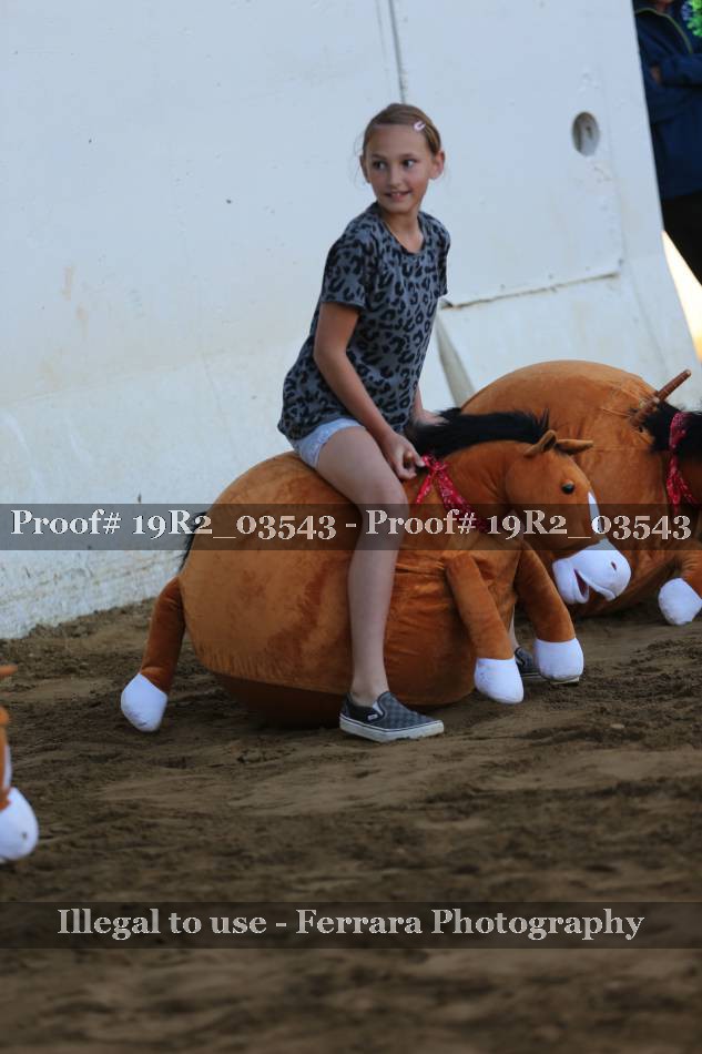 Proof 19R2_03543
