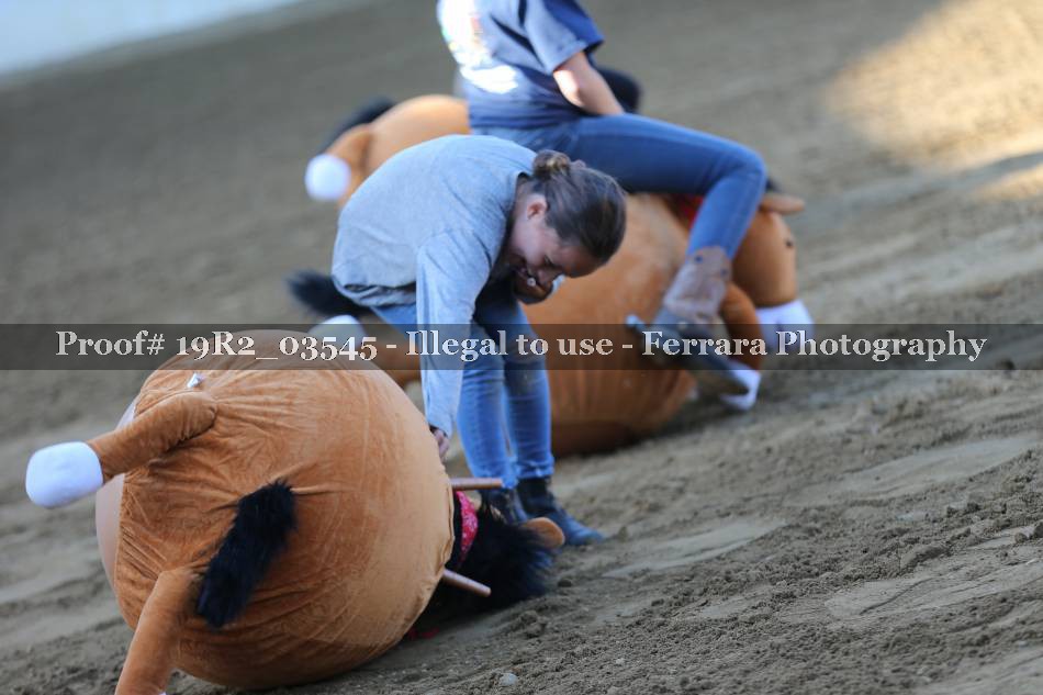 Proof 19R2_03545