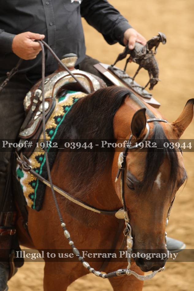 Proof 19R2_03944